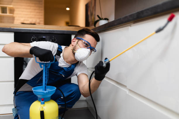 Trusted Grand Mound, WA Pest Control Experts