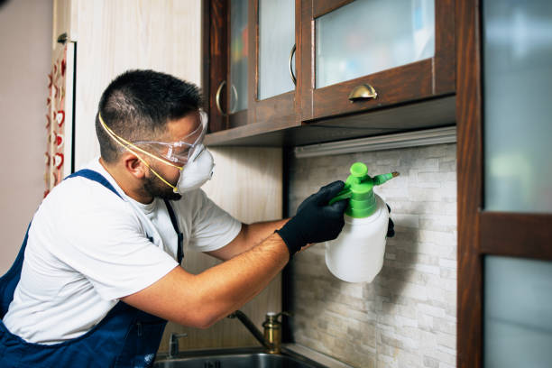 Reliable Grand Mound, WA Pest Control Solutions