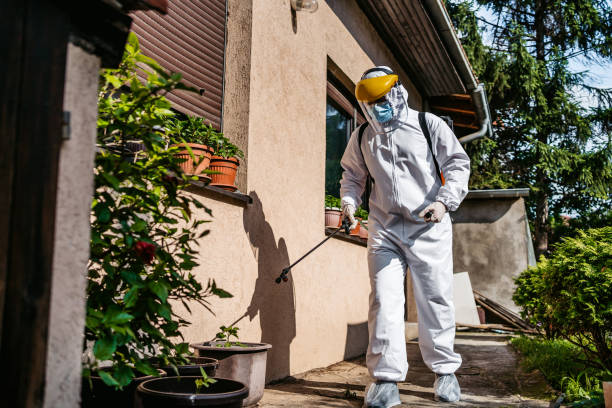 Best Termite Control Services  in Grand Mound, WA