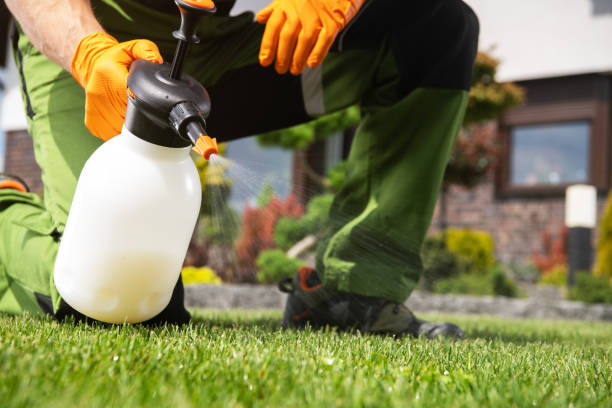Best Best Pest Control Companies  in Grand Mound, WA