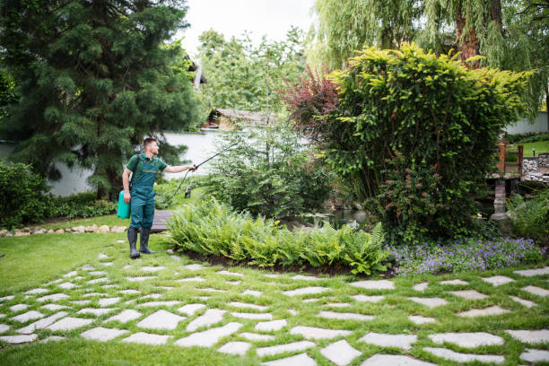 Flea Control Services in Grand Mound, WA