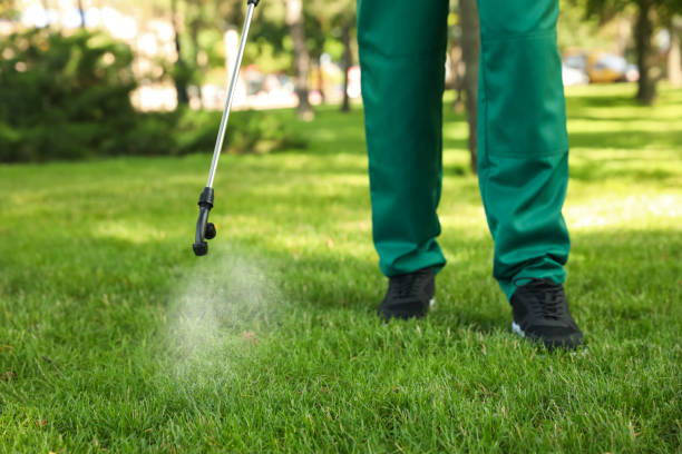 Best Exterminator Services  in Grand Mound, WA