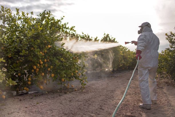 Best Cockroach Control Services  in Grand Mound, WA
