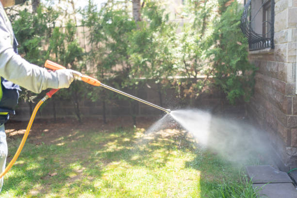 Best Best Pest Control Companies  in Grand Mound, WA