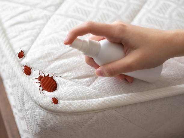 Best Best Pest Control Companies  in Grand Mound, WA